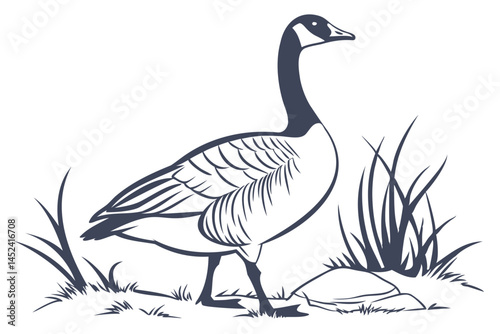 Illustration of canada goose standing in grass wildlife bird drawing nature animal vector artwork design image isolated on transparent background
