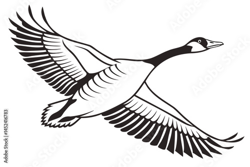 Flying goose vector illustration of waterfowl in flight with detailed wings and feathers drawing for design 100 isolated on transparent background