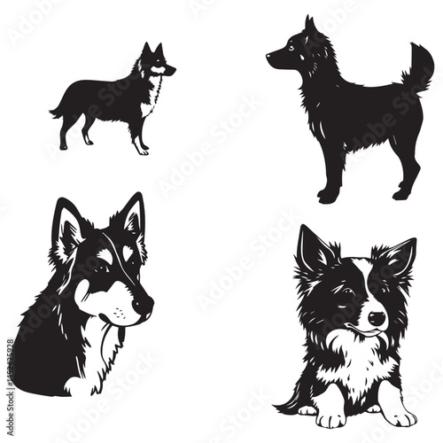 miniature american shepherd Dog black silhouette vector, Simple silhouette Design vector icon with white background