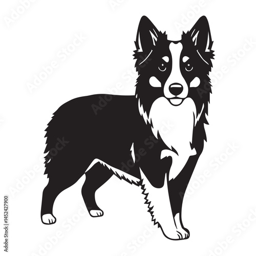 miniature american shepherd Dog black silhouette vector, Simple silhouette Design vector icon with white background