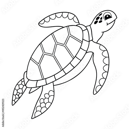 vector illustration of turtle