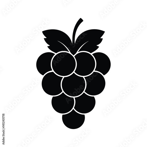 vector illustration of grapes