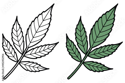 Single leaf, colored in green and presented as a line drawing, sits on white