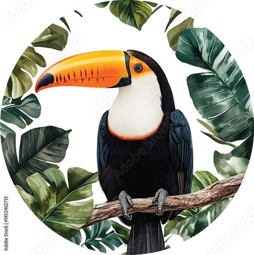Toucan with a big beak on a white background, vector, png, t-shirt design