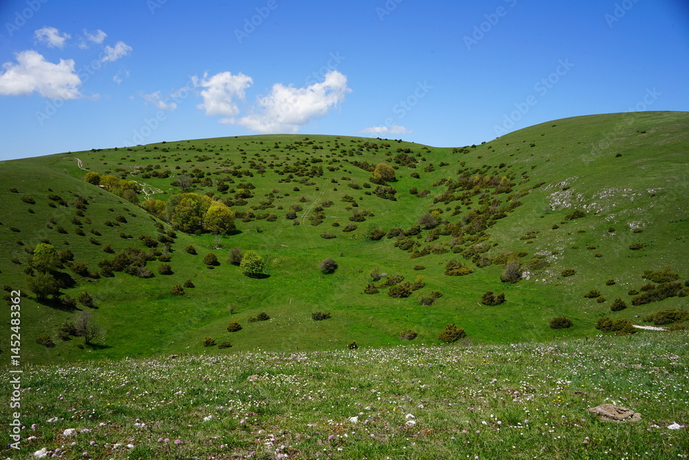 Fototapeta premium Green hills of Umbria, Italy
