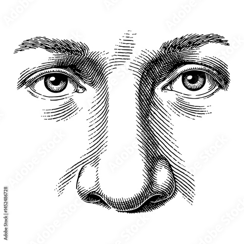 Human Nose and Eye Detail Black and White Outline Line Art Drawing Illustration Engraved Style