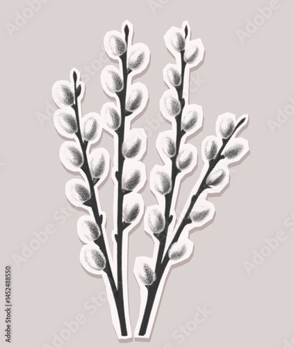 Halftone pussy willow branches in retro style. Vintage photocopy botanical illustration. Perfect for spring, Easter, nature themes, greeting cards, and modern mixed media collages.