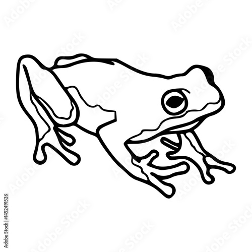 amphibian animal vector design