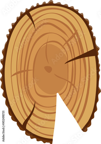 Tree trunk section revealing intricate growth rings, showcasing the age and history of the tree against a clean white background, highlighting nature beauty and resilience