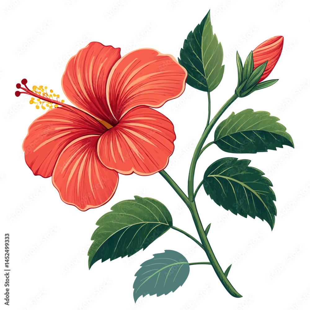 Obraz premium Create a bold, vector illustration of a vibrant tropical hibiscus flower with thick black outlines, showcasing intricate details of petals and stamen.