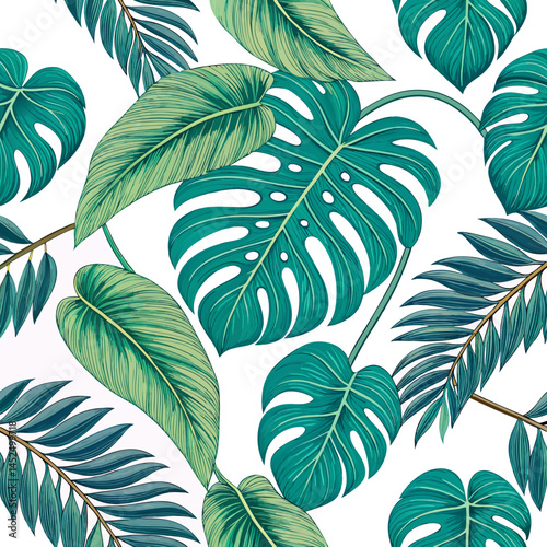 Create a bold, vector illustration of a tropical leaf pattern featuring large, distinct leaves with thick black outlines.  The style should be modern and graphic.