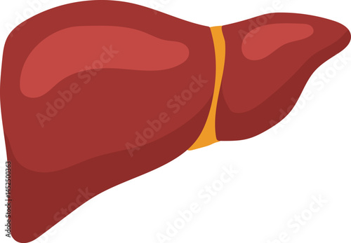 Medical illustration representing human liver promoting awareness of liver health and disease prevention through regular checkups and healthy lifestyle choices