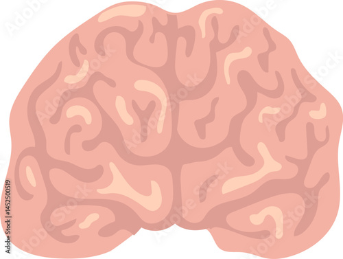 Realistic vector illustration showcasing a human brain, emphasizing the complex network of its two hemispheres, ideal for medical and educational use