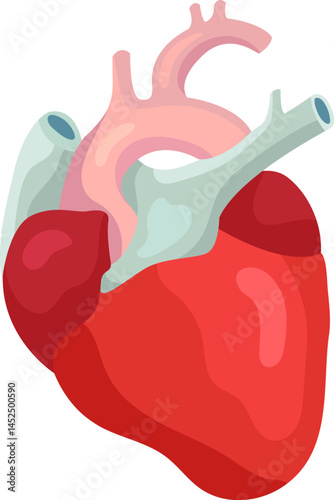 Internal organ responsible for pumping blood throughout the circulatory system, featuring realistic anatomical details of arteries, veins, and ventricles, essential for sustaining life