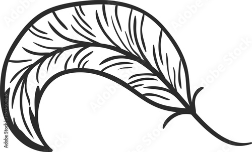 Light and elegant feather floating gently in the wind, hand drawn illustration capturing the essence of nature, perfect for enhancing various design projects with a touch of delicacy