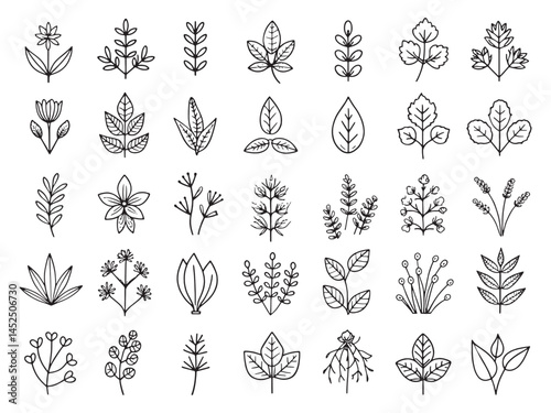 Herb Garden Icon Create Your Own Paradise.eps