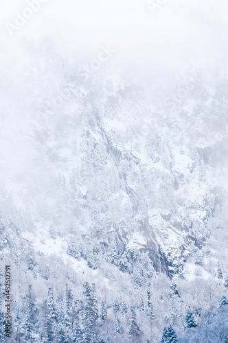 Mixed woodland with snow, a waterfall and bare trees