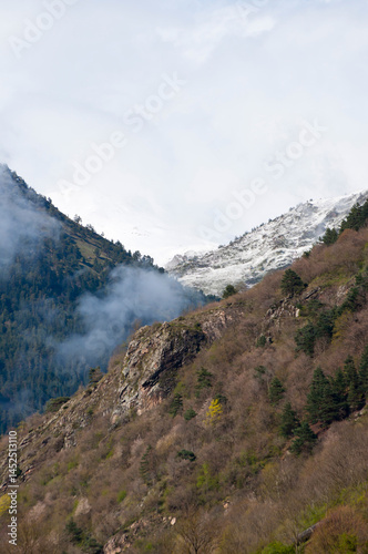 Rugged forested mountain with snowy treetops