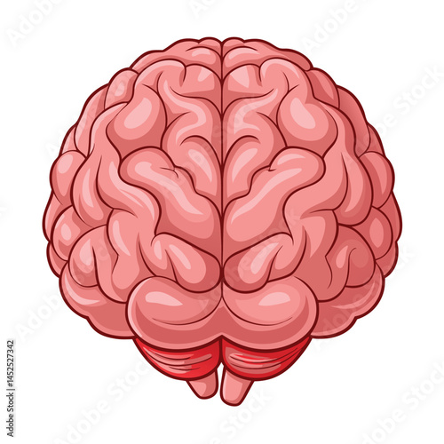 human brain vector illustration