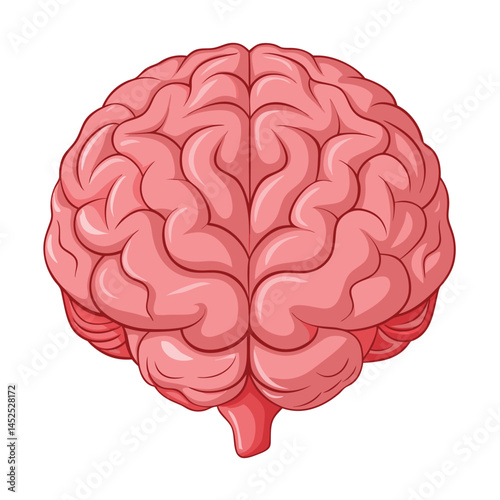 human brain vector illustration