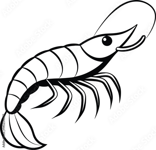 vector illustration of shrimp