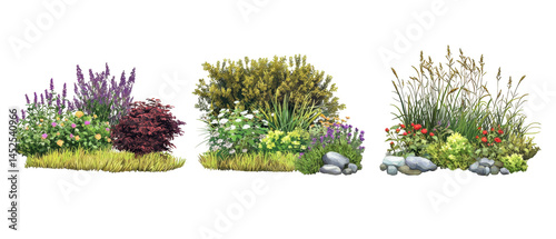 Colorful garden plants with flowers and rocks in natural outdoor setting