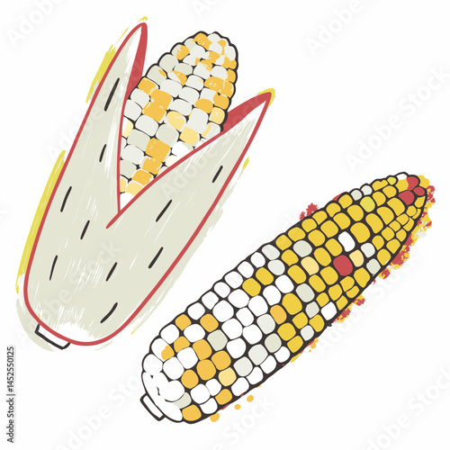 Colorful corn cobs displayed artfully with husks, showcasing vibrant kernels on a clean background, representing freshness and agricultural bounty.