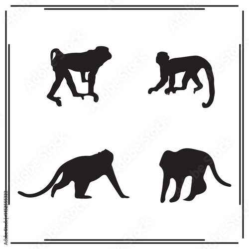 Monkey silhouette, Monkey illustration , Monkey clipart, Monkey vector , Monkey icon , black Monkey, Monkey illustration on white background, Monkey vector illustration ,