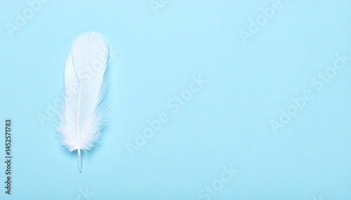 Obraz na płótnie white feather on blue background w salonie