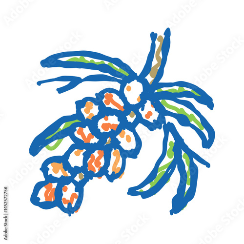 buckthorn berry tree branch icon doodle illustration