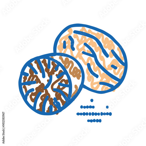 nutmeg nut icon doodle illustration