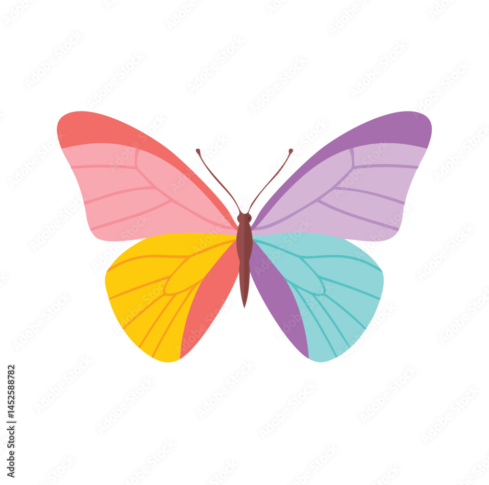 Fototapeta premium butterfly on white background