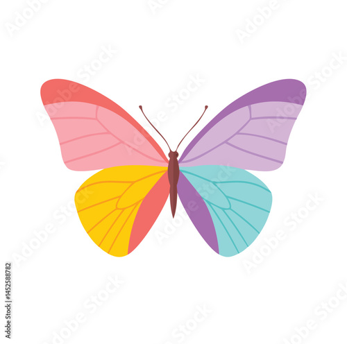 butterfly on white background