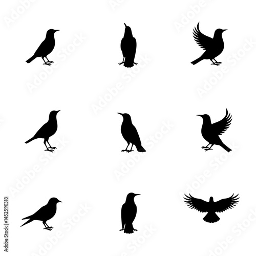 Set birds silhouettes vector