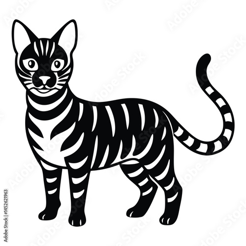 vector illustration of a cat