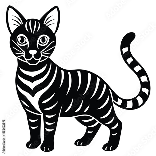 vector illustration of a cat