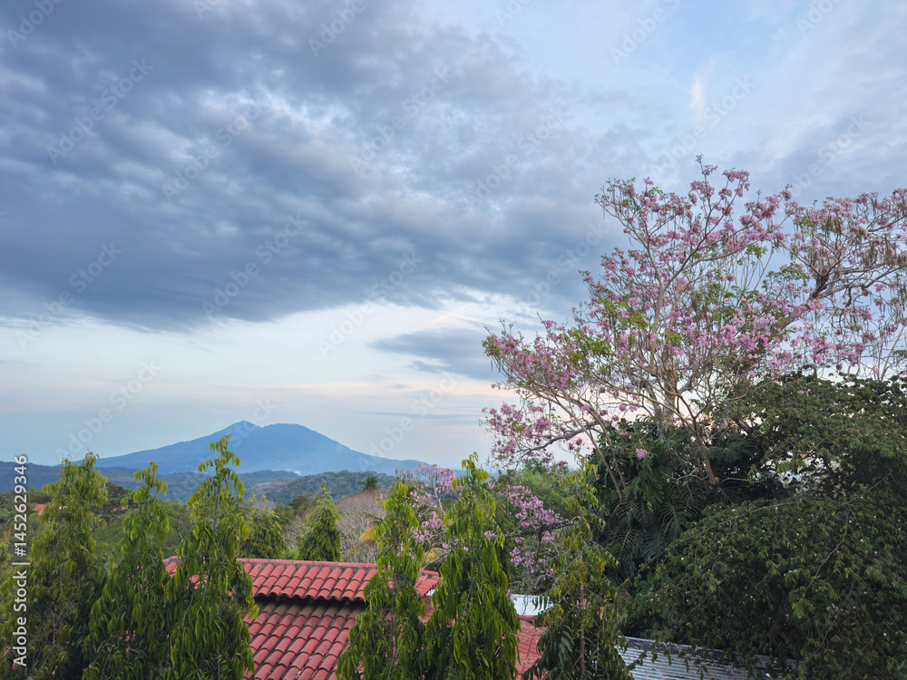 Stunning view of mountain landscape with blooming trees at dusk in Nicaragua