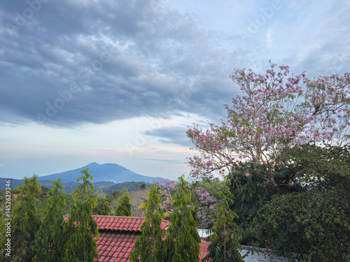 Obraz na płótnie Stunning view of mountain landscape with blooming trees at dusk in Nicaragua w salonie