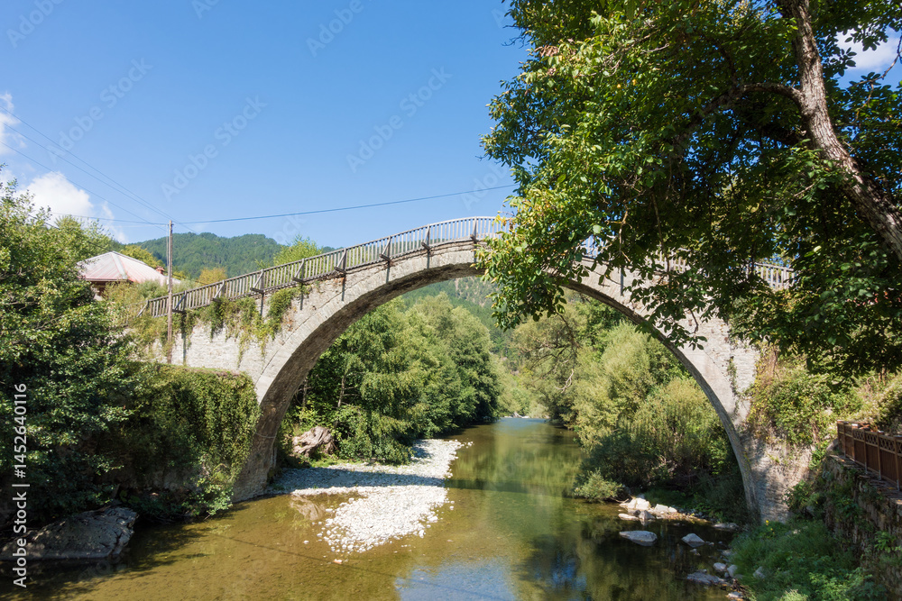 Obraz premium The famous stone bridge in Vovousa village, Ioannina, Greece
