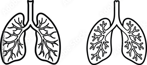 human lungs alveoli on white background