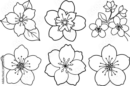 Set of cherry blossom flower outline vector illustration line art