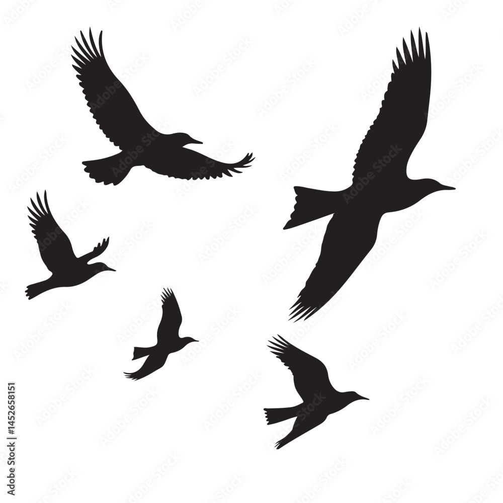 Fototapeta premium Vector set of flying birds. Usually stylized or realistic silhouettes of birds flying in the air. vector illustration eps 10