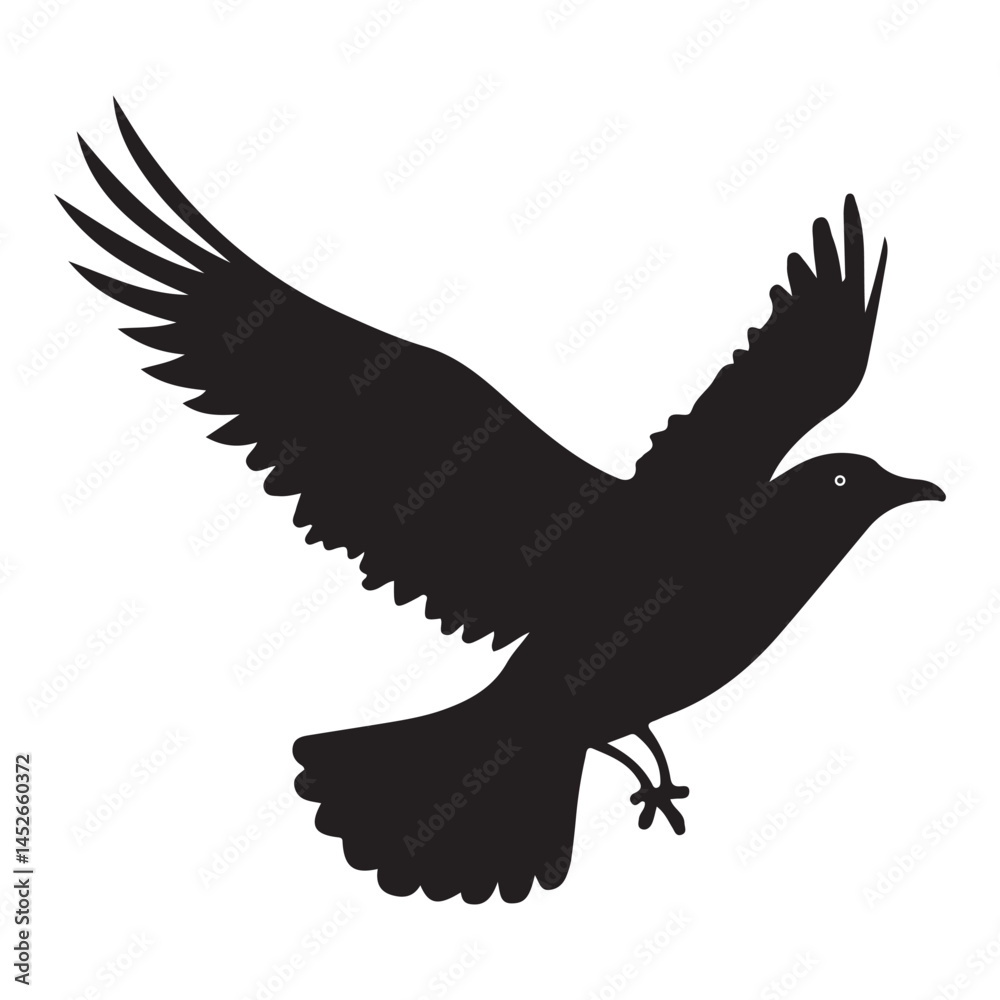 Obraz premium Flying bird vector. illustration eps 10