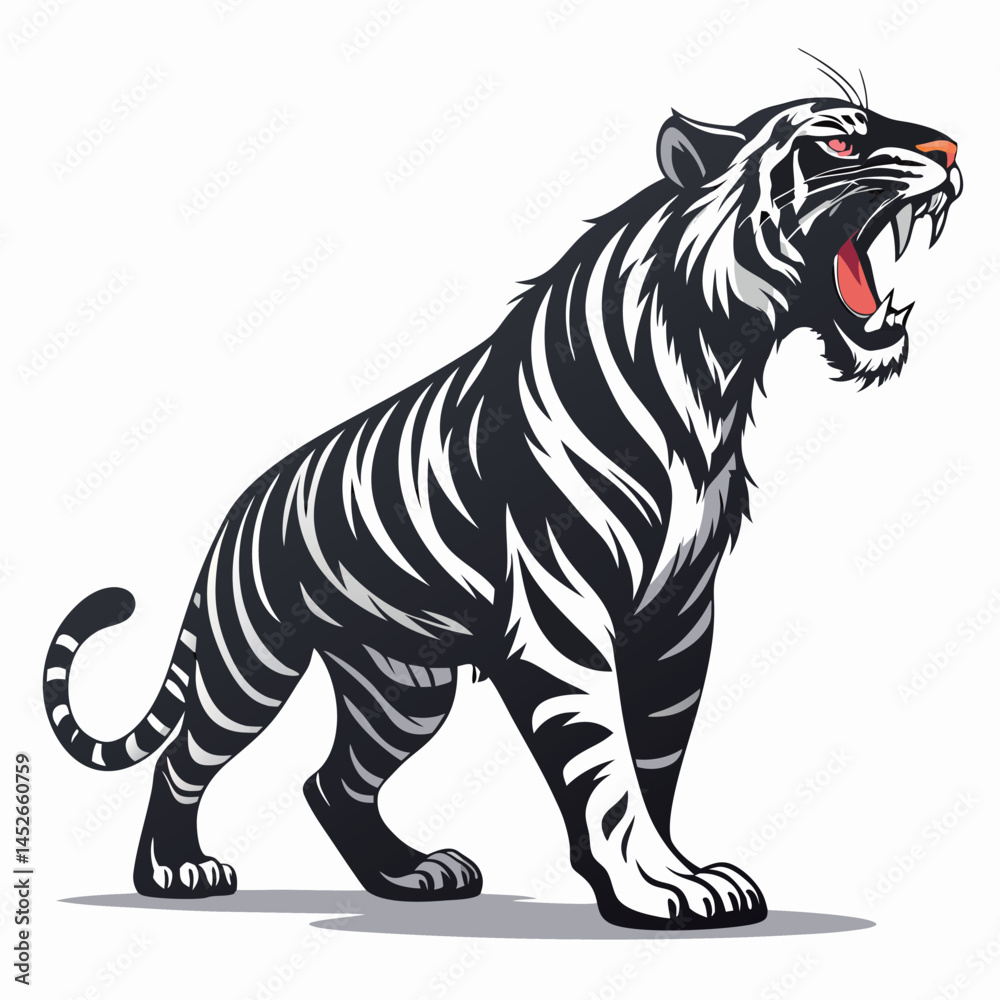 Fototapeta premium High Contrast Tiger Against Black Background