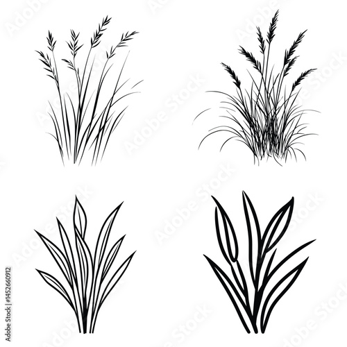 Four Isolated Bushy Grass Tuft Sets on a Transparent Background