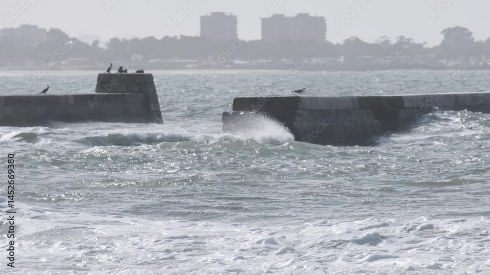 Protective coastal engineering structures standing resilient against powerful ocean waves, with seagulls resting peacefully on weathered breakwater surface in scenic portuguese landscape