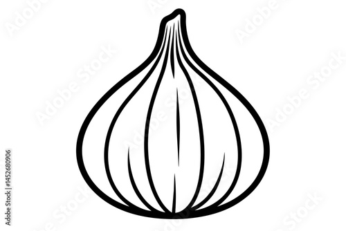 onion on white background