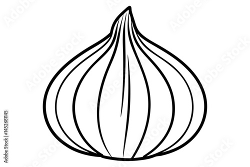onion on white background