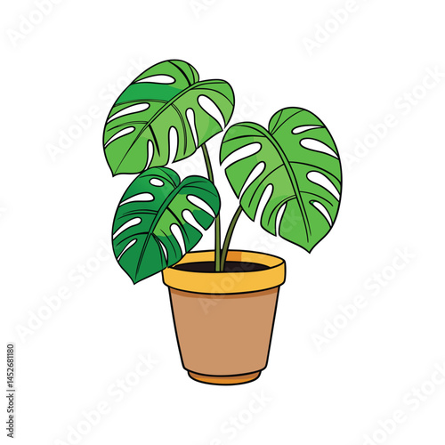 Monstera houseplant pot vector illustration, tropical indoor plant with large split leaves, home decor and greenery