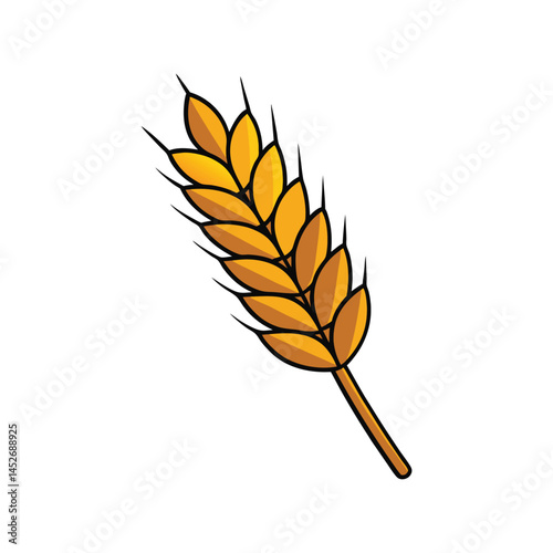 Golden wheat ears whole grains vector illustration, ripe cereal crop design, agriculture, farming, and organic food